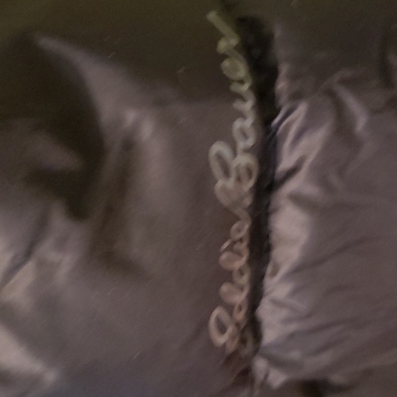 NWT! 🎉2XHost Pick🎉Eddie Bauer Microlight Down Parka - Picture 4 of 15